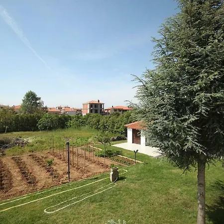 Aurora * 아피토스